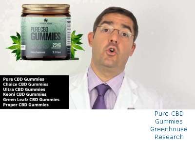 Is Pure CBD Gummies Just Choice CBD Gummies